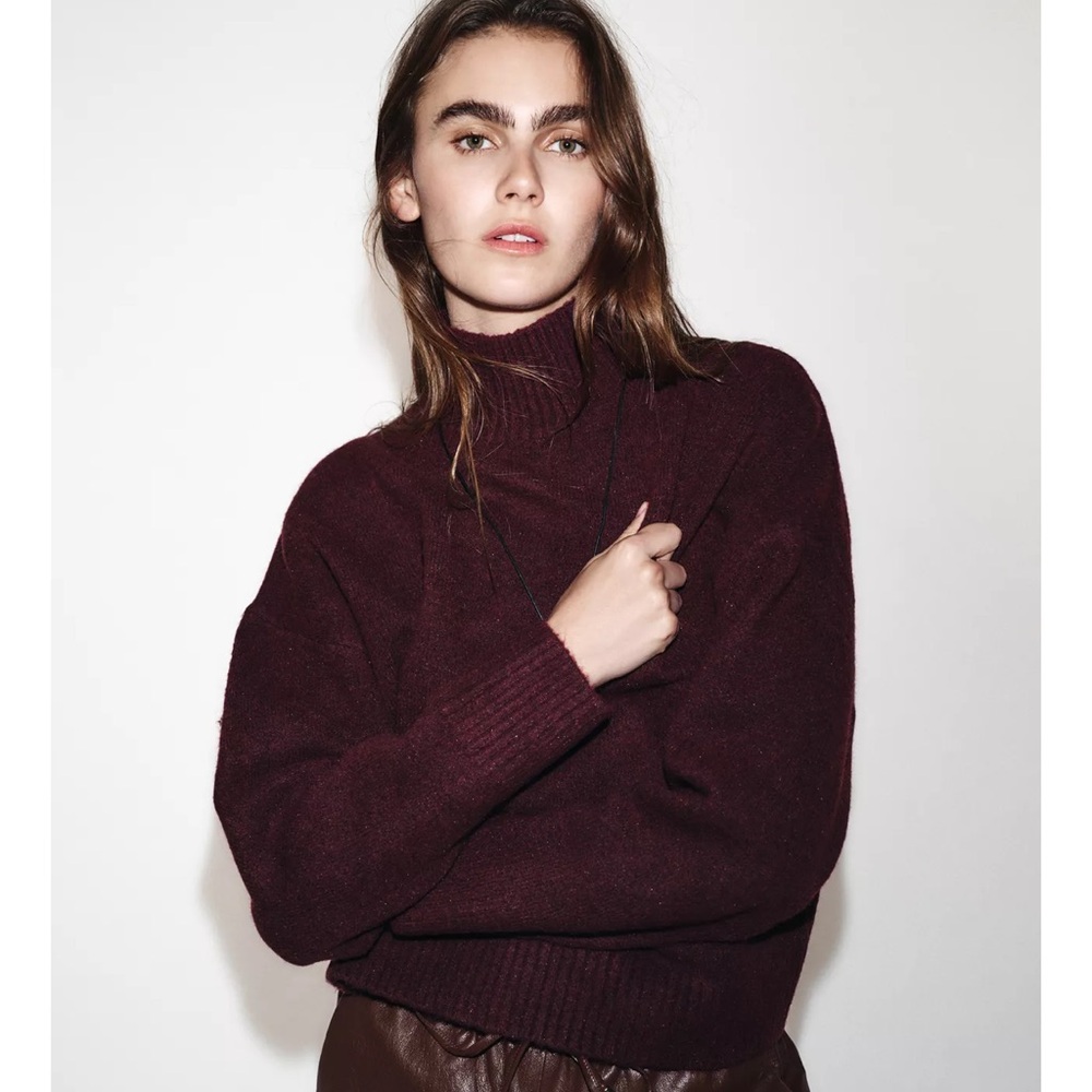 Zara Deep Burgundy Turtleneck Sweater